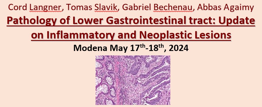 Pathology of Lower Gastrointestinal tract: Update on Inflammatory and Neoplastic Lesions
