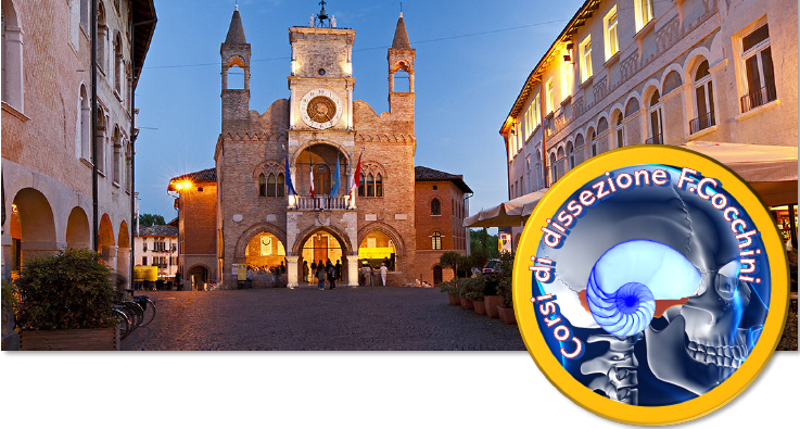 CORSO PRATICO DI ANATOMIA CHIRURGICA E DISSEZIONE SPERIMENTALE OTOLOGICA I° LIVELLO – XXXV° EDIZIONE